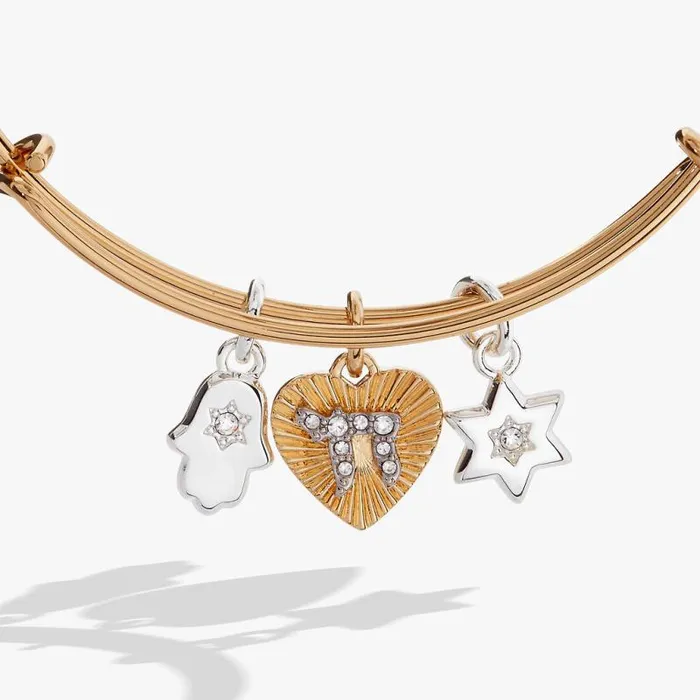 Bracelets Women Alex And Ani Faith And Family Star Of David Charm Bangle Two Tone