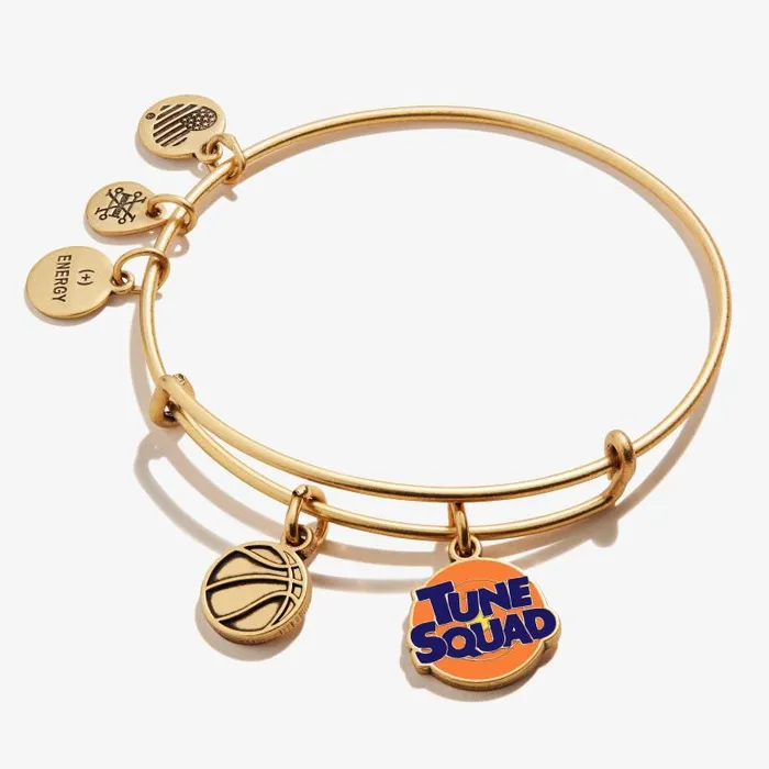 Iconic Women Alex And Ani Space Jam 039Tune Squad039 Duo Charm Bangle Rafaelian Gold Iconic Women Alex And Ani Space Jam 039Tune Squad039 Duo Charm Bangle Rafaelian Gold