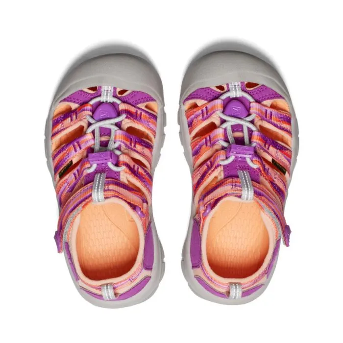 Little Kids039 Newport H2 WillowherbTangerine Sandal Kids KEEN Hike Little Kids039 Newport H2 WillowherbTangerine Sandal Kids KEEN Hike