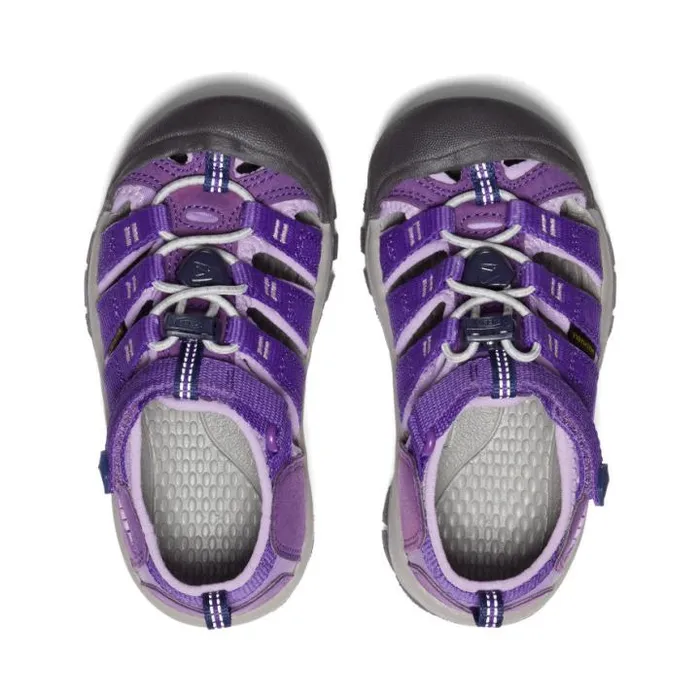 Little Kids039 Purple Water Hiking Sandals 8211 Newport H2 Kids KEEN Little Kids Little Kids039 Purple Water Hiking Sandals 8211 Newport H2 Kids KEEN Little Kids