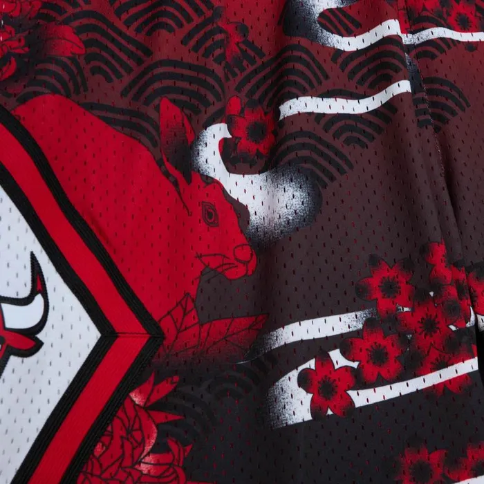 Mitchell and Ness Asian Heritage Swingman Chicago Bulls 1997 Shorts 50 Men Shorts Mitchell and Ness Asian Heritage Swingman Chicago Bulls 1997 Shorts 50 Men Shorts