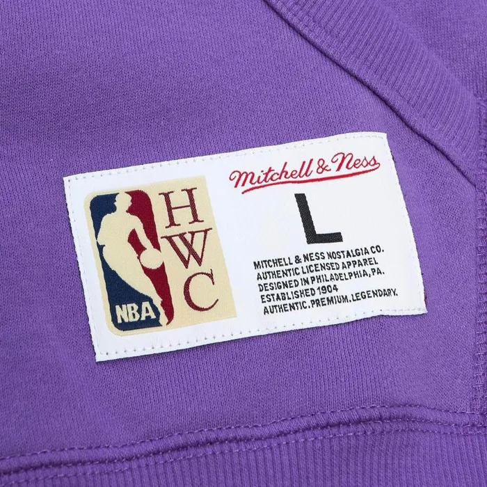 Mitchell and Ness City Collection Fleece Hoody Toronto Raptors Men Hoodies and Sweatshirts Mitchell and Ness City Collection Fleece Hoody Toronto Raptors Men Hoodies and Sweatshirts