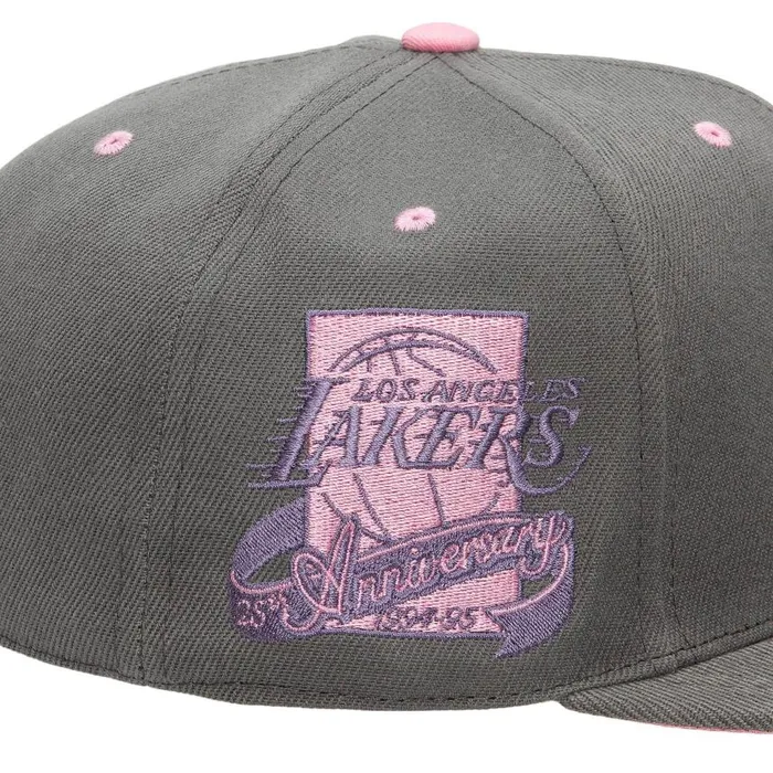 Mitchell and Ness Lavender Dreams Fitted HWC Los Angeles Lakers Men Hats and Headwear Mitchell and Ness Lavender Dreams Fitted HWC Los Angeles Lakers Men Hats and Headwear