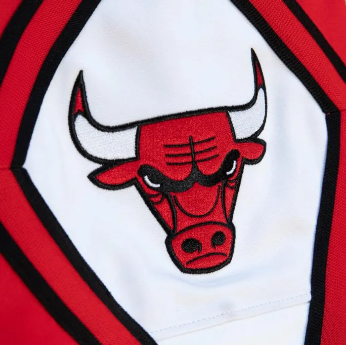 Mitchell and Ness MandN X Just Don Pants Chicago Bulls Men Pants