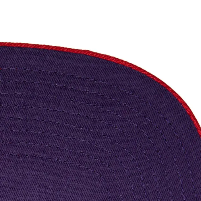 Mitchell and Ness Pinwheel Snapback HWC Toronto Raptors Men Hats and Headwear