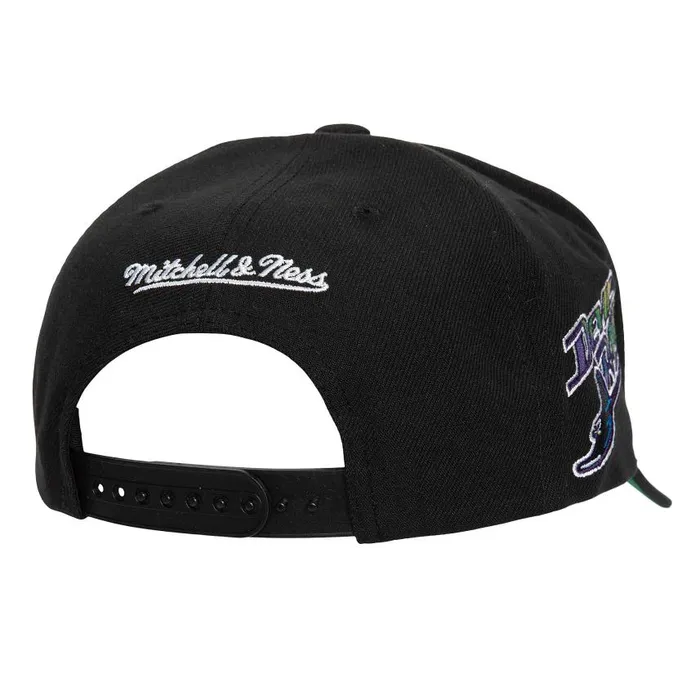 Mitchell and Ness Team Pro Snapback Coop Tampa Bay Rays Men Hats and Headwear