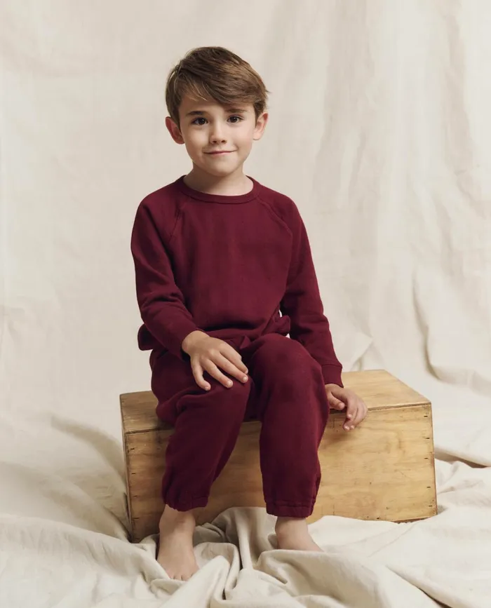 Tees and Sweats Kids The Great The Little College Sweatshirt Solid Plum Tees and Sweats Kids The Great The Little College Sweatshirt Solid Plum